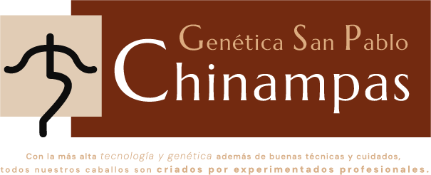 Certificado de Calidad en Genética Equina, Chinampas, México